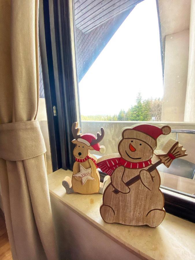 Papa Moose Pamporovo Lejlighed Eksteriør billede
